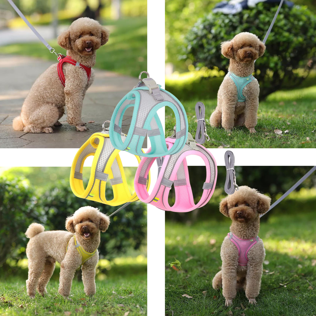 Dog Harness Leash Set for Small Dogs